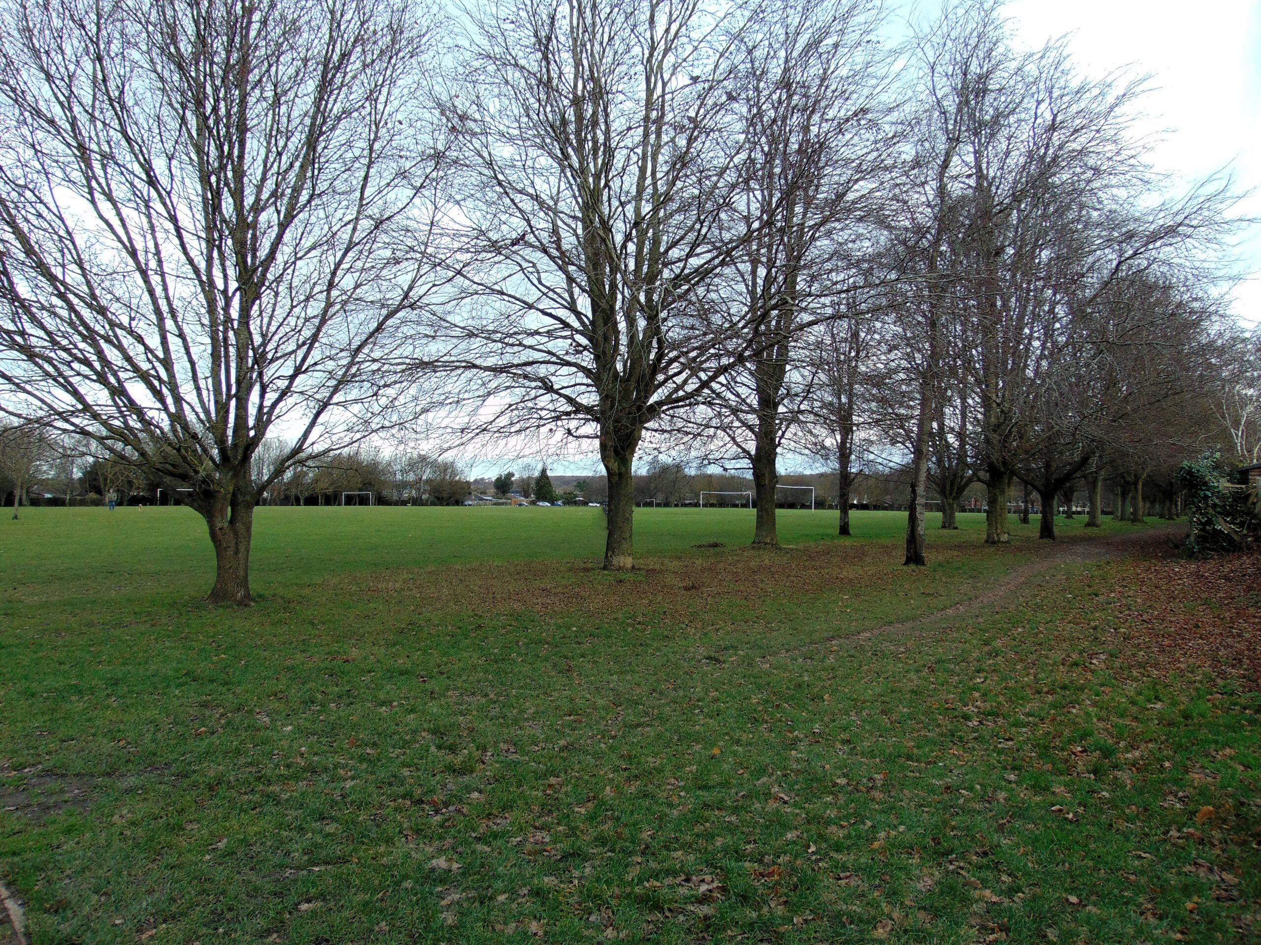 Kingsfrith Playing Fields, Looking across to the North