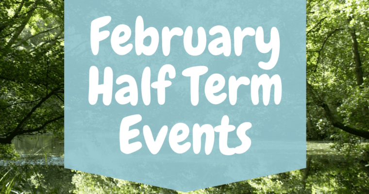 Brockhill February Half Term Events