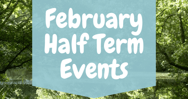 Brockhill February Half Term Events