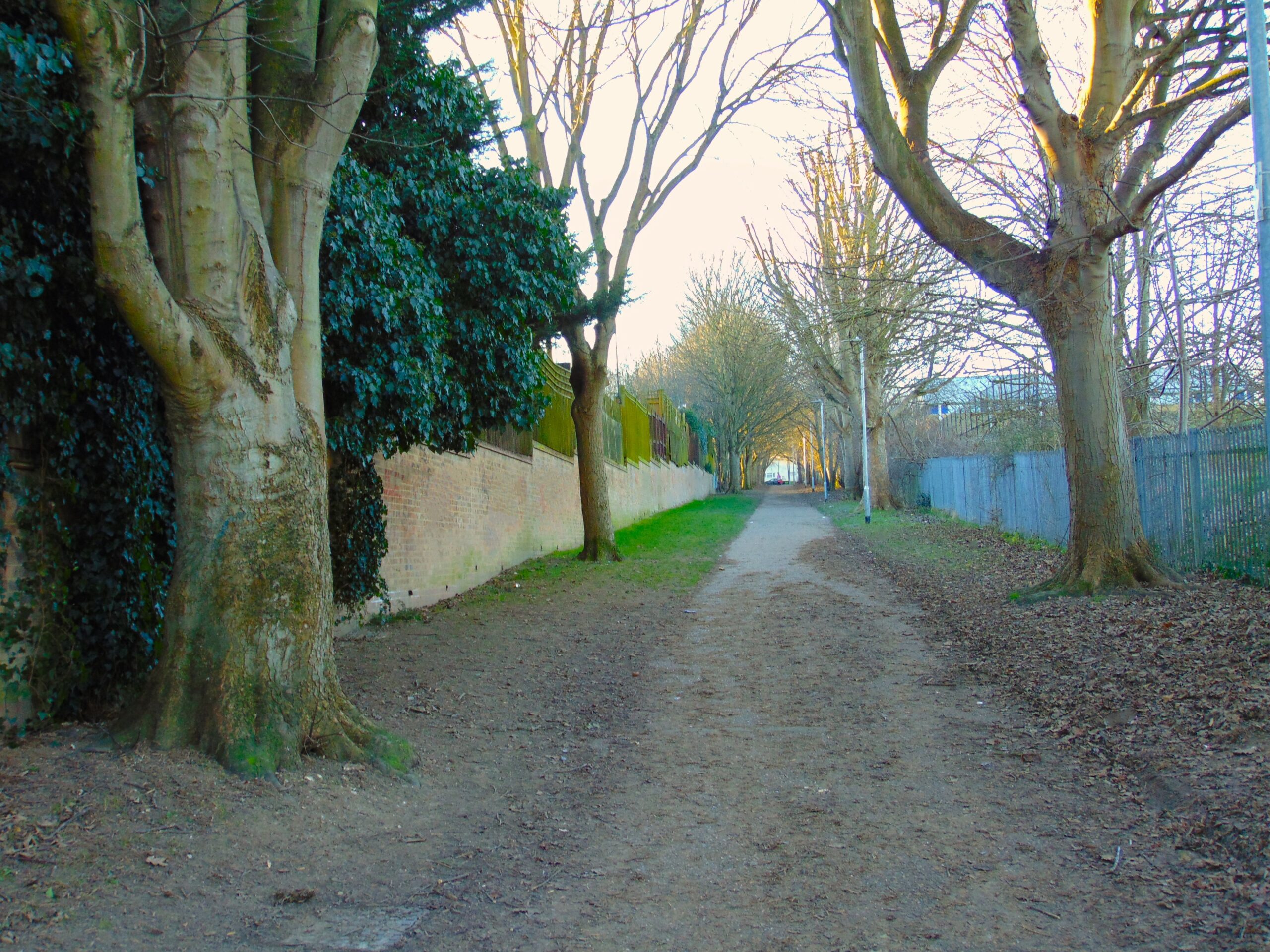 The Long Walk, Friston Park, Rochester