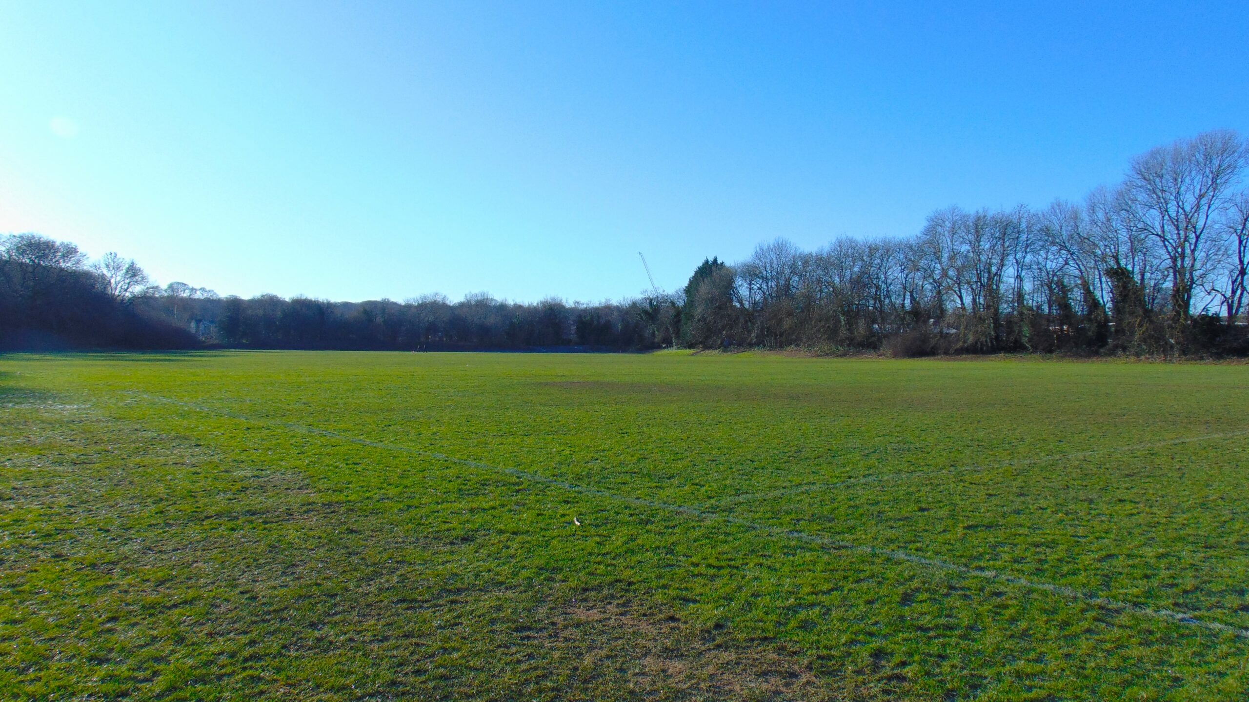 Image of field in Lordswood
