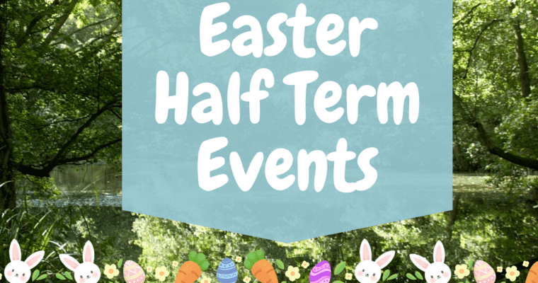 Half Term Events at Brockhill Country Park