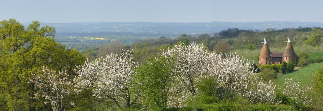 Panoramic view of spring in Ulcombe