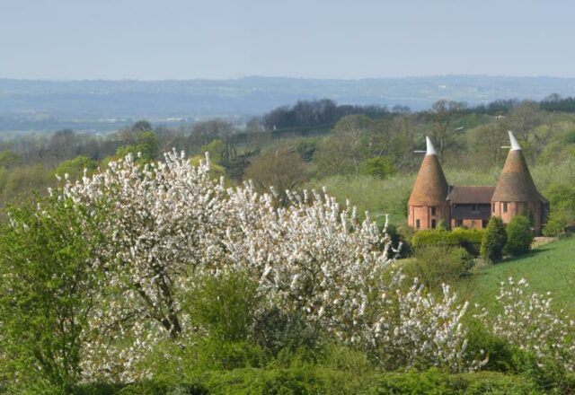 Panoramic view of spring in Ulcombe