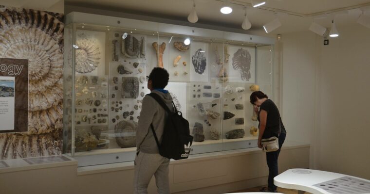 Two people looking at geological exhibition in a museum