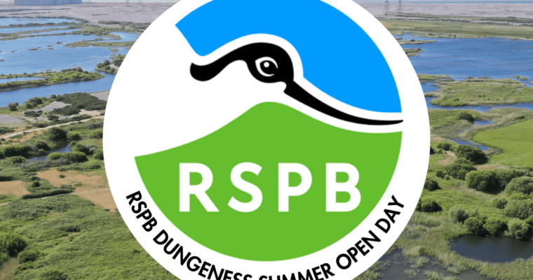 RSPB logo on a background image of Dungeness