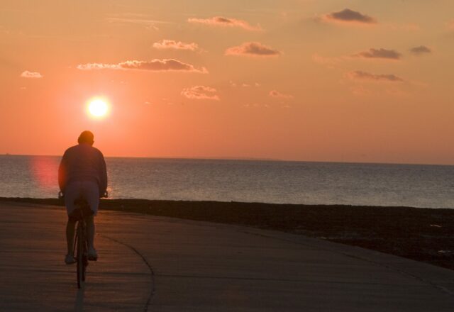 Man cycling along sea front