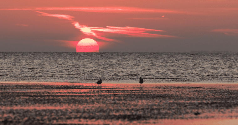 Image of an orange sun setting behind the sea