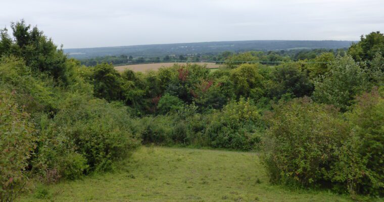 Viewpoint at Trosley, view from a hill with lots of trees and a cloudy sky