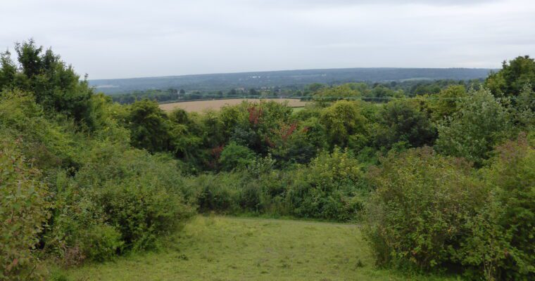 Viewpoint at Trosley, view from a hill with lots of trees and a cloudy sky