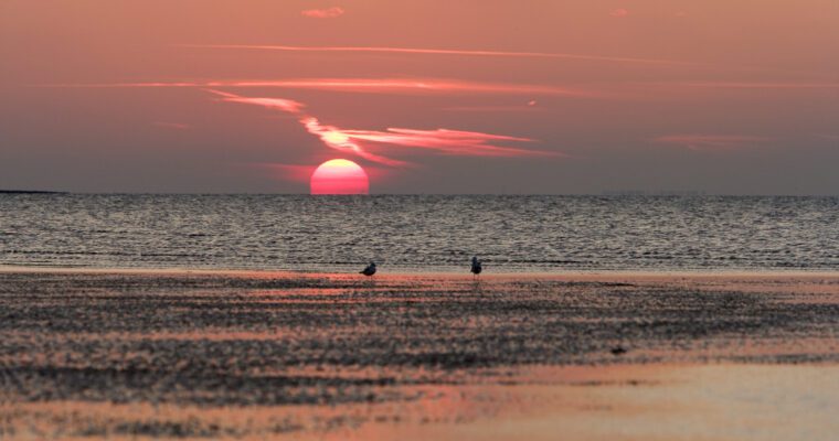 Image of the sun setting behind the sea.