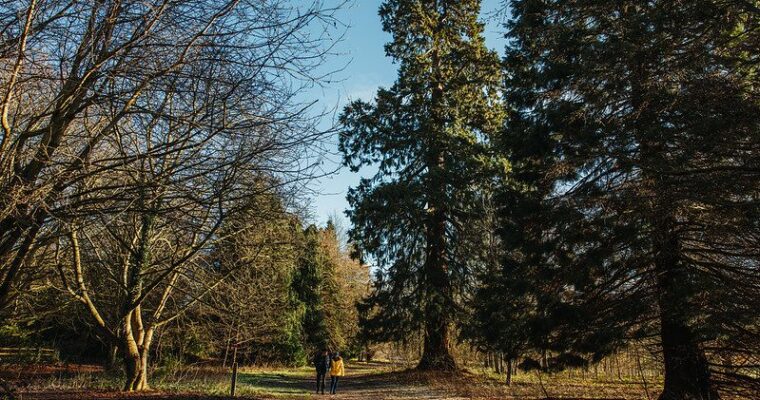 Camer Park easy access trail