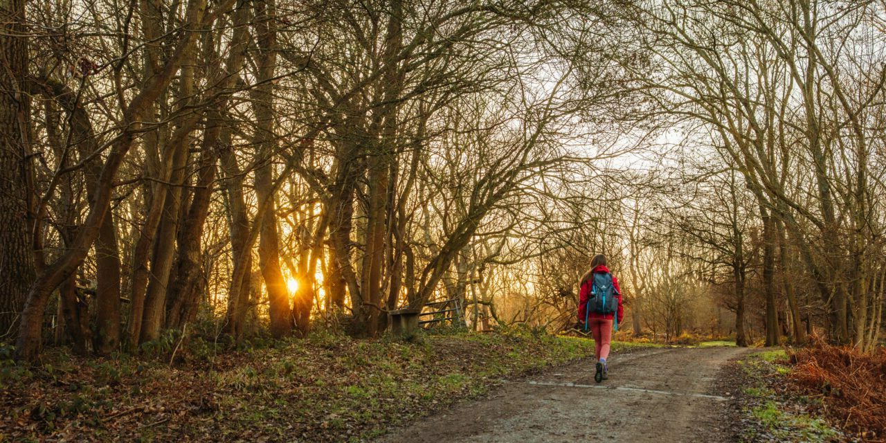 Autumn walk