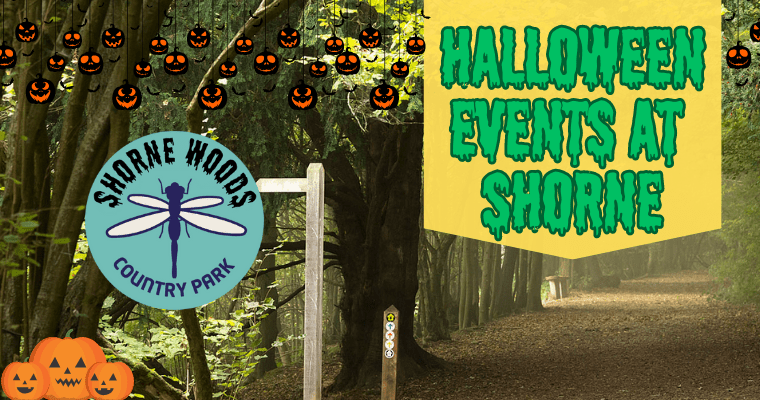 Shorne Woods Halloween