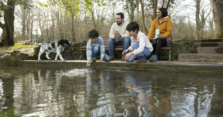 Family and their dog feed the ducks by the ornamental lake.