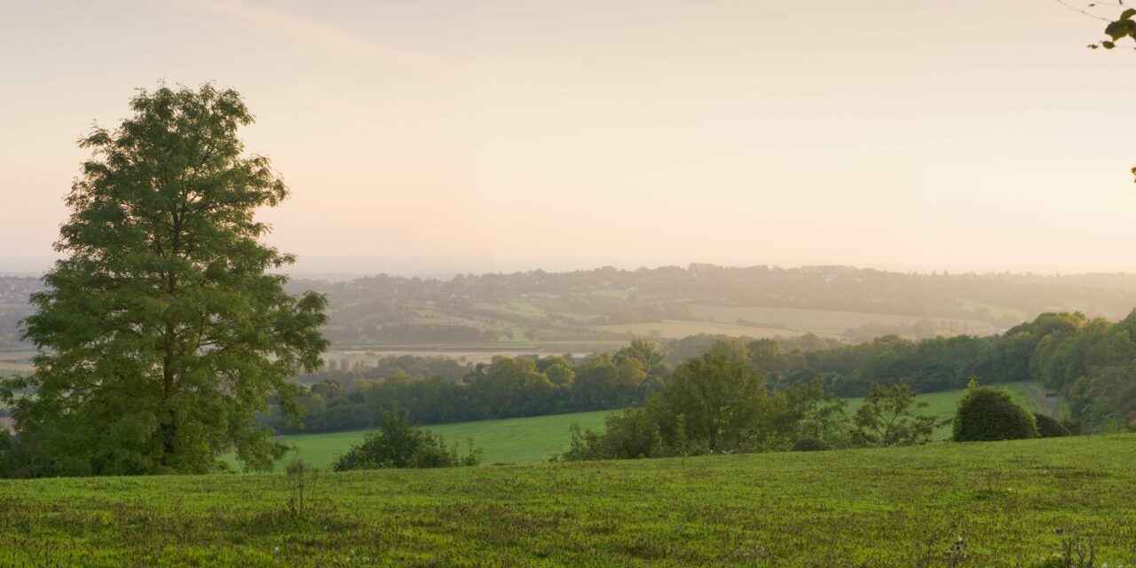 Panoramic view of North Downs Way Caterham