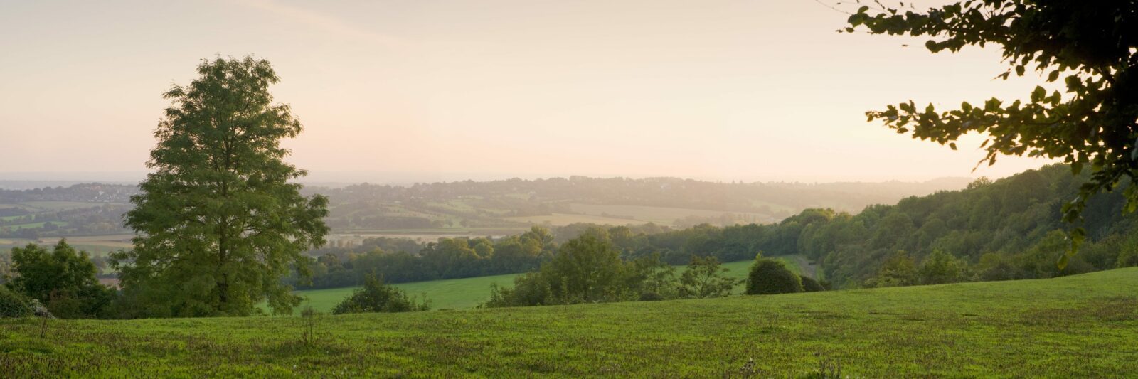 Panoramic view of North Downs Way Caterham