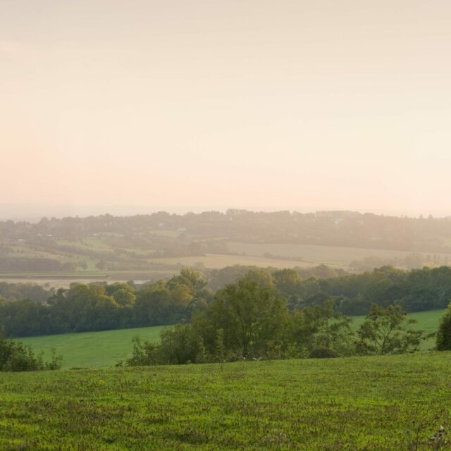 Panoramic view of North Downs Way Caterham