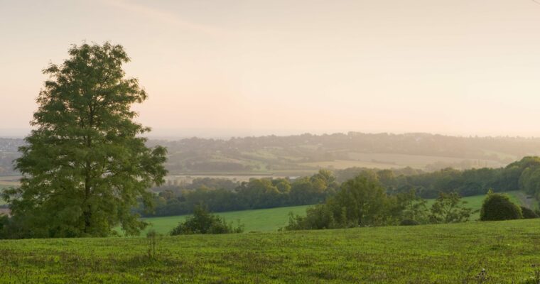 Panoramic view of North Downs Way Caterham