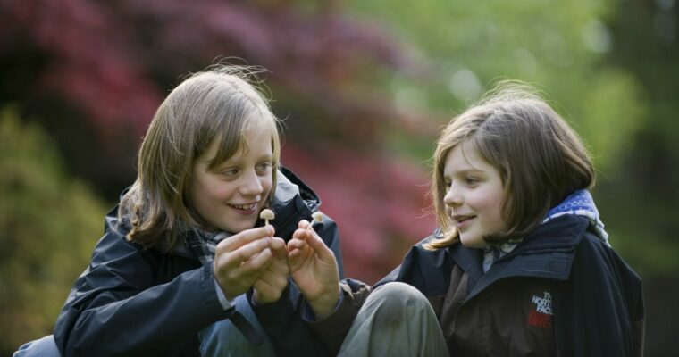 Children in the garden in autumn at Plas Newydd,