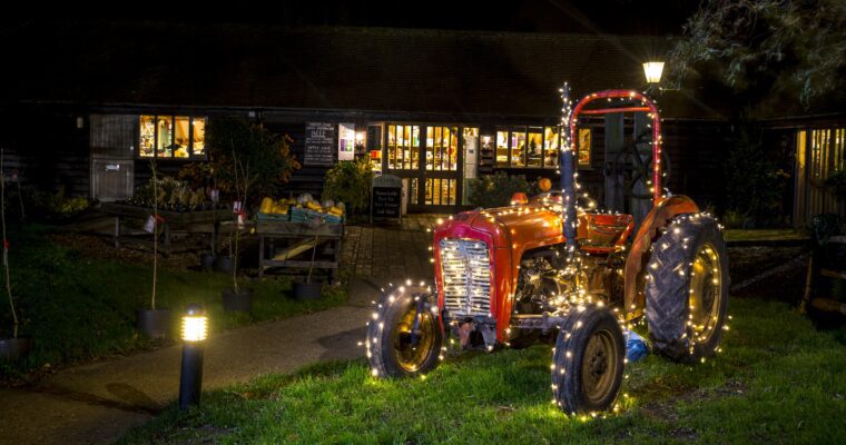 Castle Farm Christmas