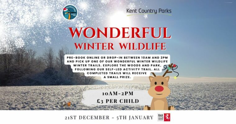 Lullingstone Winter Trail