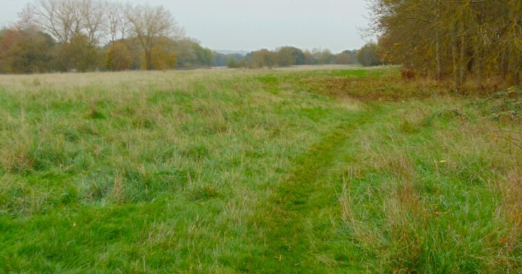 Deangate Ridge Country Park