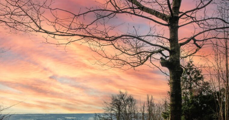 Sunset view from Holly Hill. Two people at bench.