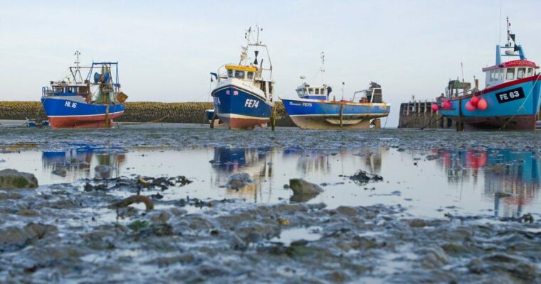 Fishing boats in the harbour