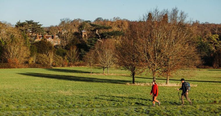 Two people walking along field