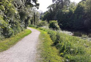 A flat path with grass either side and trees with the river on the right