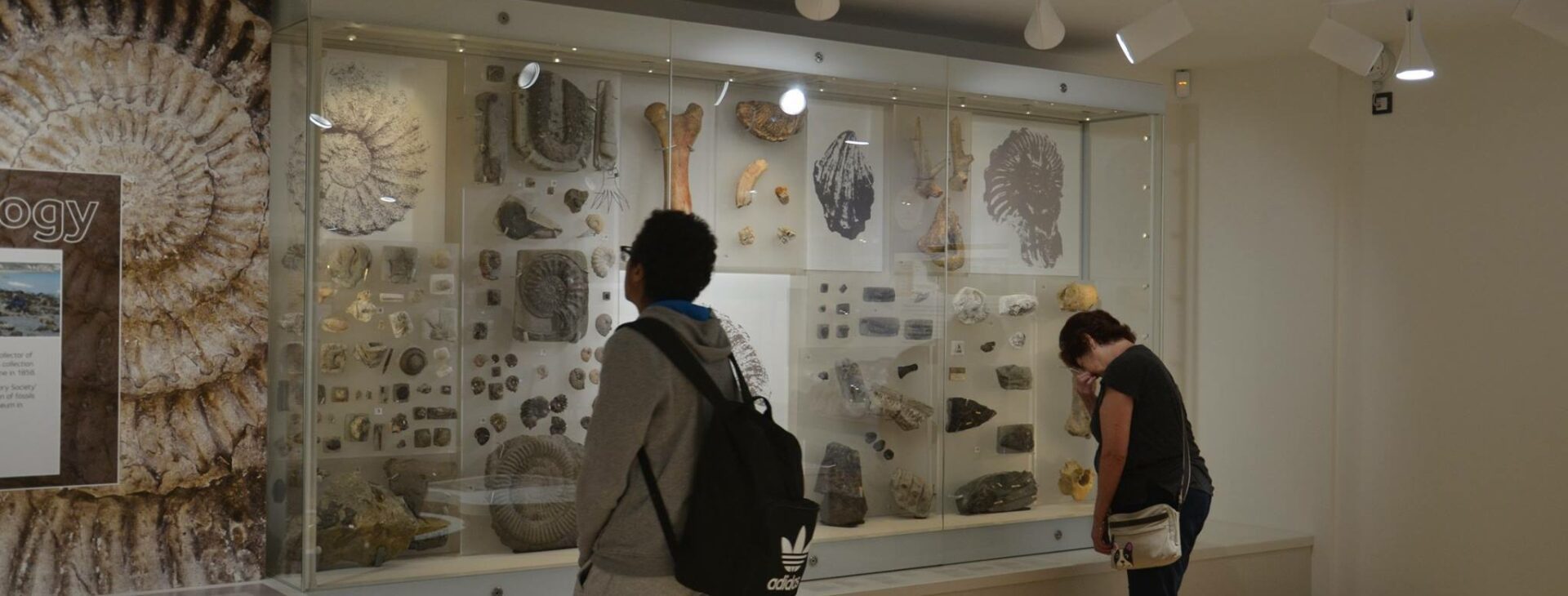 Two people looking at geological exhibition in a museum