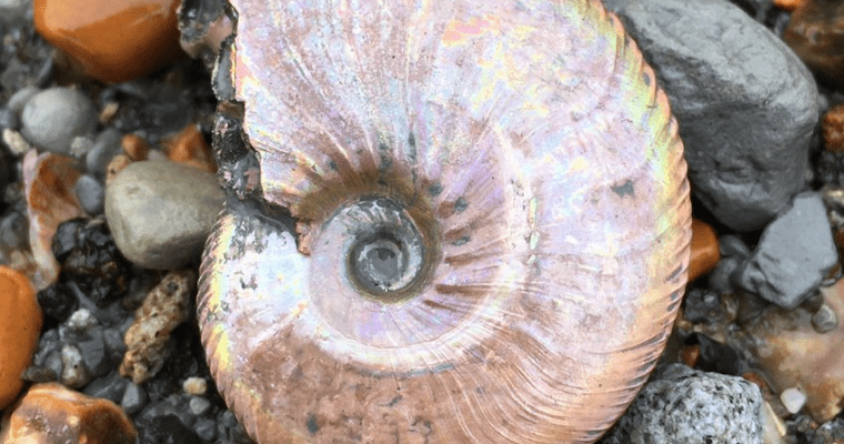 Christmas Crafts and Wintery Walk (Hucking)