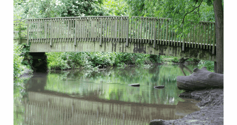 A bridge over the River Darenth. The water shows the reflection of the bridge.