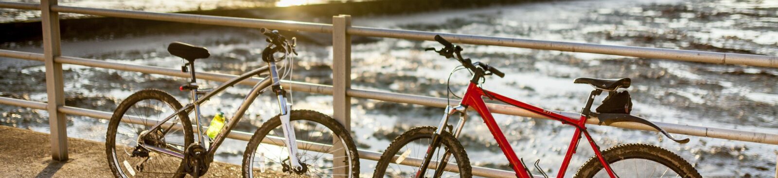 Bikes on the seafront.