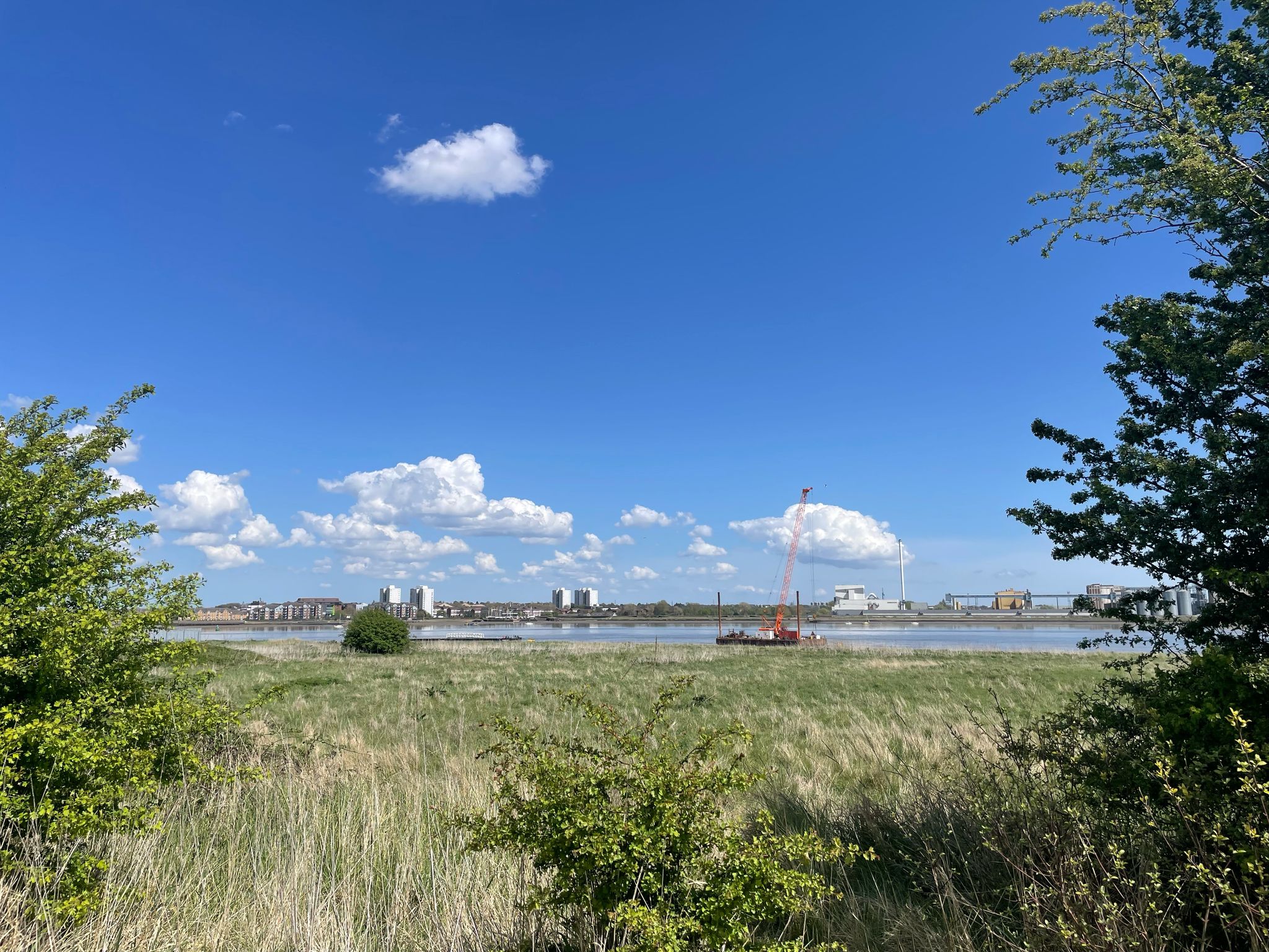Scenic view of a grassy field with bushes in the foreground, leading to the River Thames. In the background, buildings and a tall crane are visible under a clear blue sky with scattered white clouds.