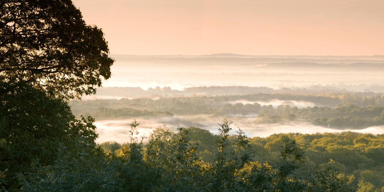 Sunset view of Toys Hill