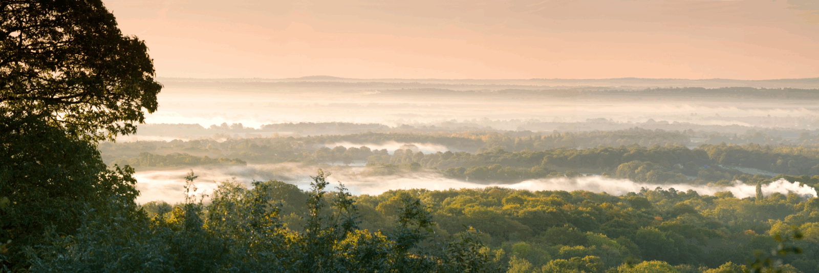 Sunset view of Toys Hill