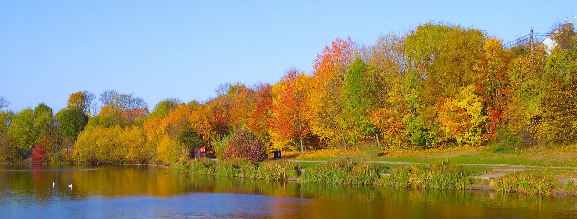 Capstone Country Park