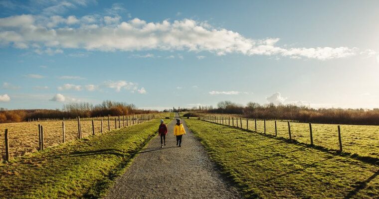 Jeskyns easy access trail