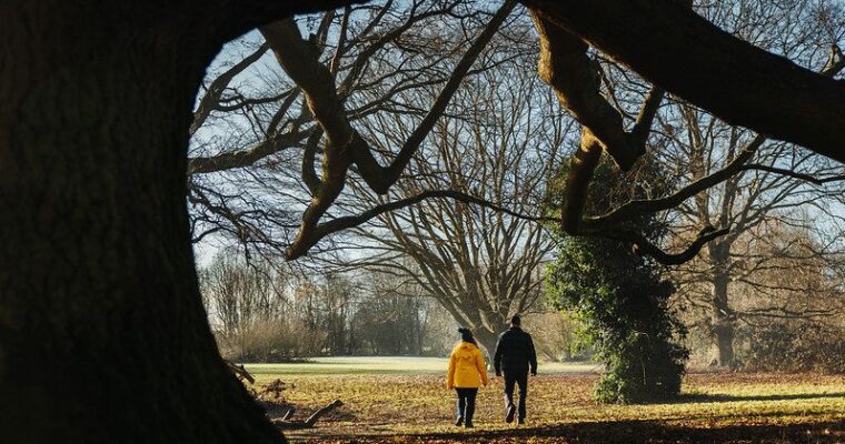 couple walking off into the distance, with trees surrounding them