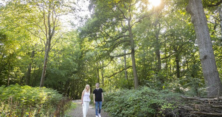 Ham Street Woods Stile Free Trail