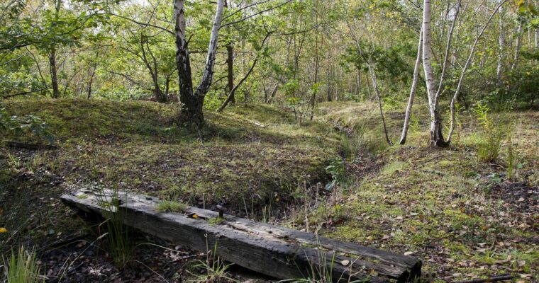 beacons wood country park