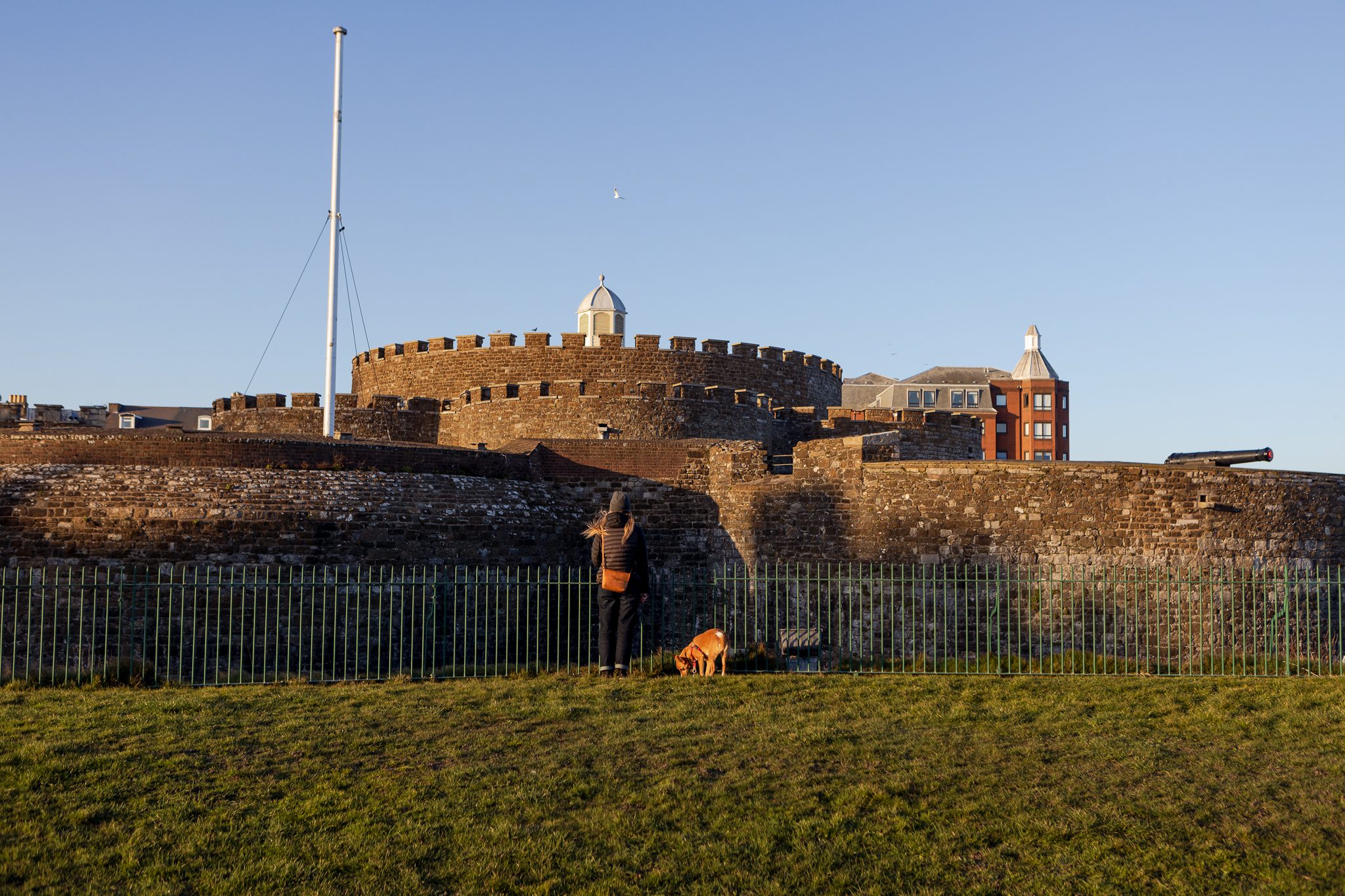 Deal Castle with grass at the front and a clear blue sky
