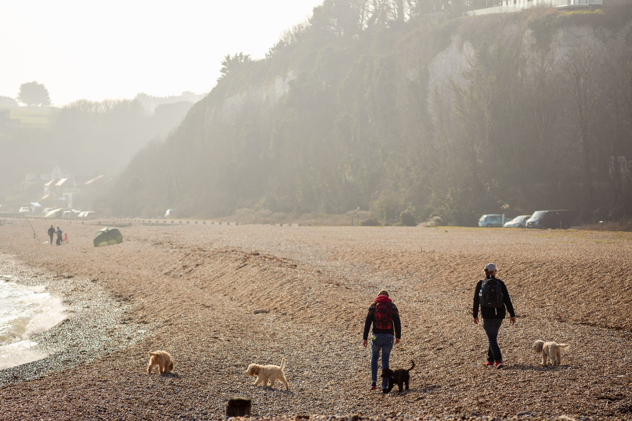 Two people walking dogs on pebble beach. It is a misty day