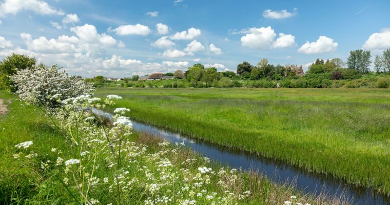 views across the oare marshes