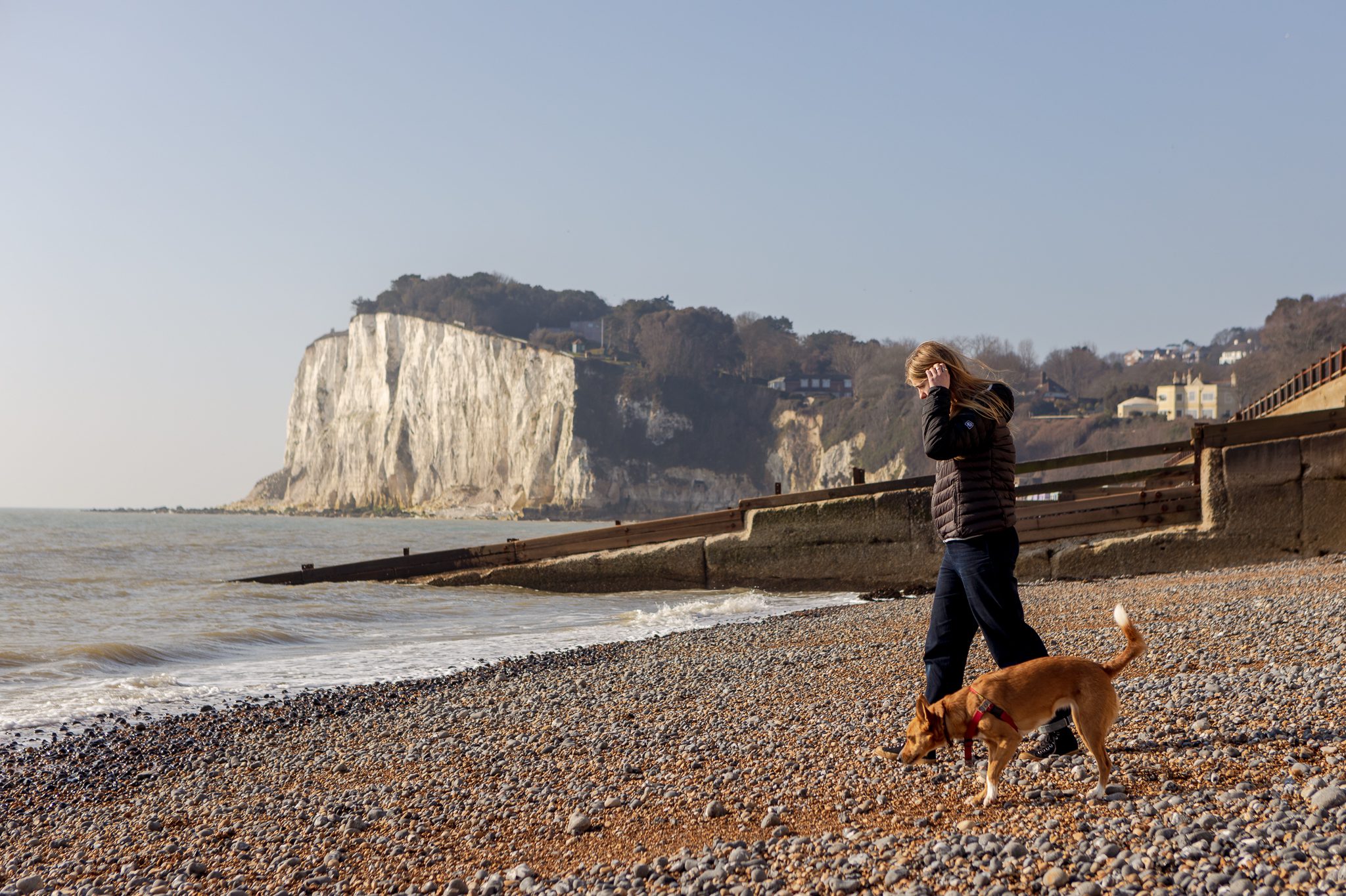 A person and a god walking on a pebble beach with the white cliffs of Dover in the background