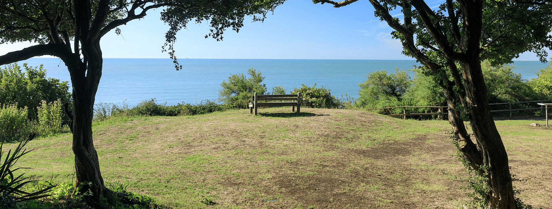 Wooden bench on grassy hilltop framed by two large trees, overlooking a calm sea under a clear blue sky