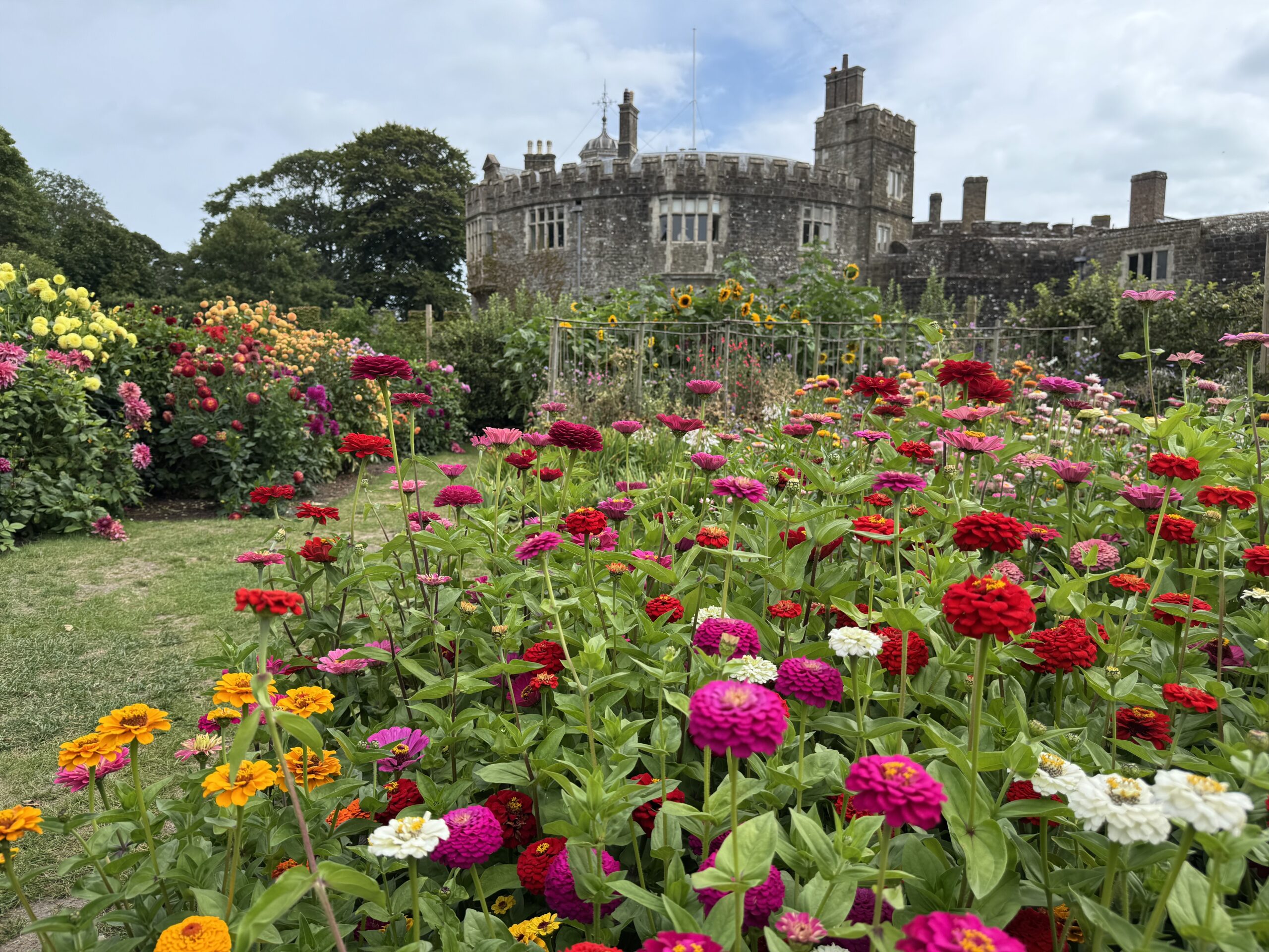 Lots of bright colour flowers in front of Walmer Castle