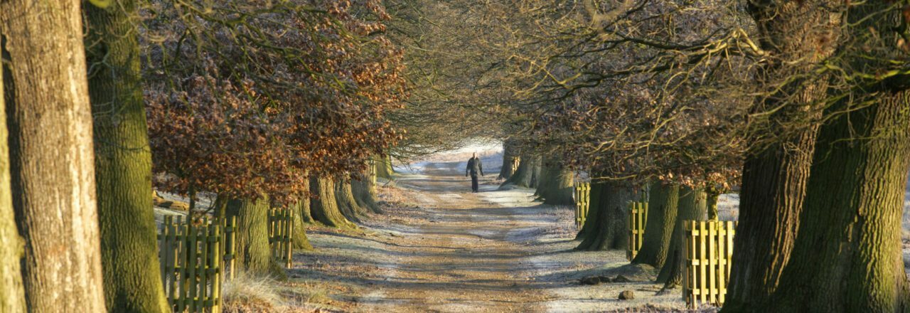 Man walking through a winter woodland
